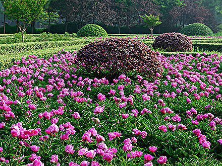 PGAPP下载产品展示四